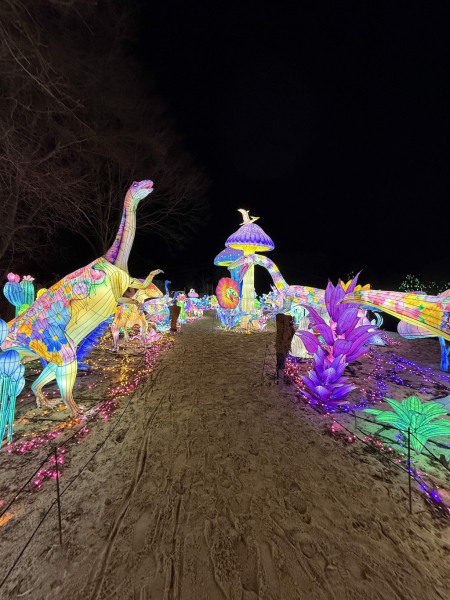 Lichterfestival – Serengeti-Park