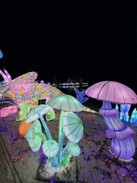 Lichterfestival – Serengeti-Park
