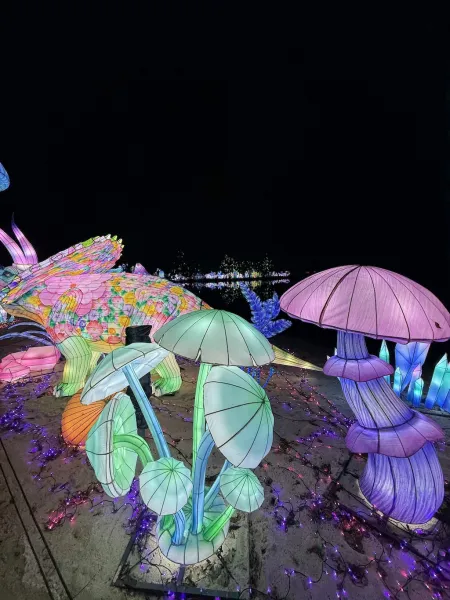 Lichterfestival – Serengeti-Park