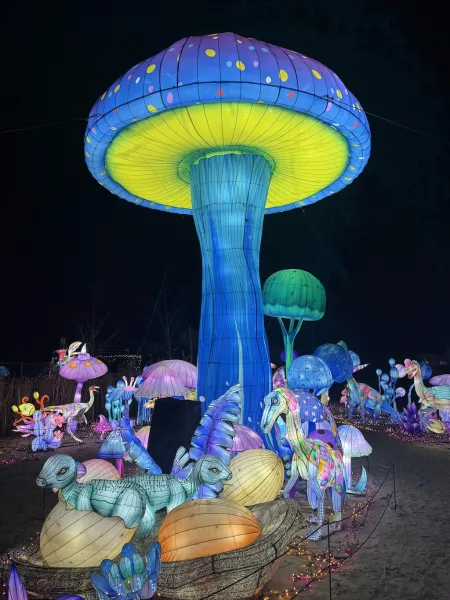 Lichterfestival – Serengeti-Park