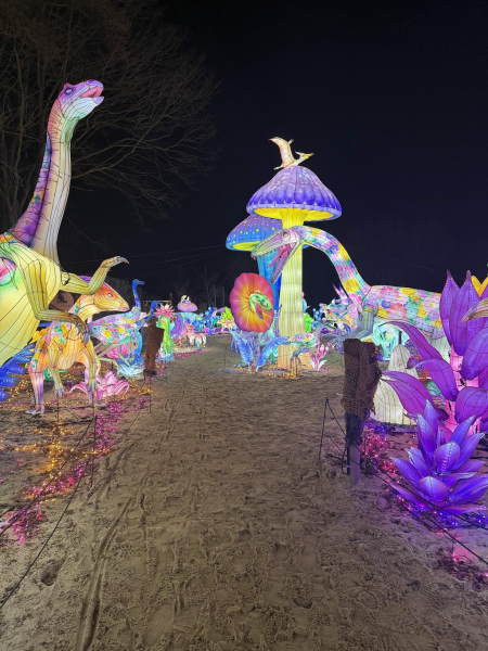 Lichterfestival – Serengeti-Park