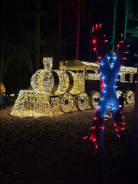 Lumagica – Lichterpark 2025 im Wildpark Schwarze Berge