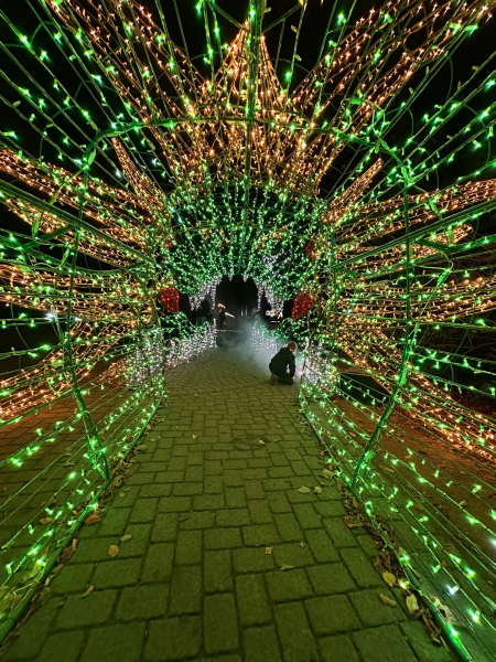 Lumagica – Lichterpark 2025 im Wildpark Schwarze Berge