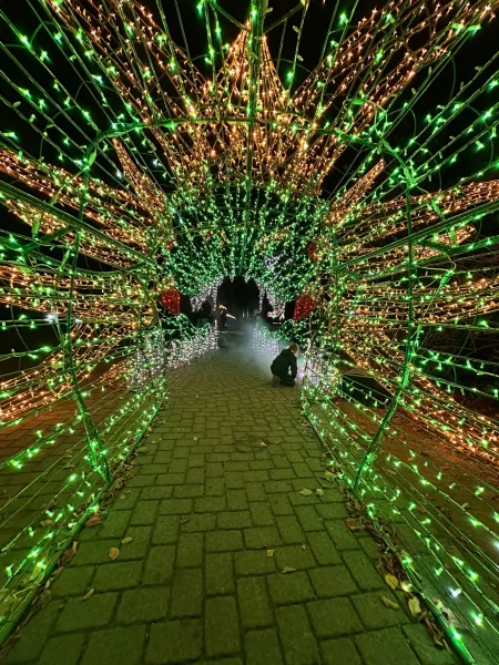 Lumagica – Lichterpark 2025 im Wildpark Schwarze Berge