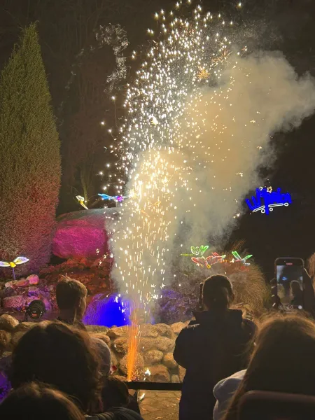 Lumagica – Lichterpark 2025 im Wildpark Schwarze Berge