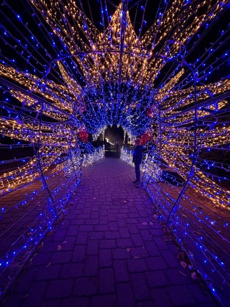 Lumagica – Lichterpark 2025 im Wildpark Schwarze Berge