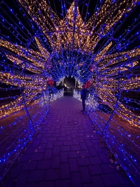 Lumagica – Lichterpark 2025 im Wildpark Schwarze Berge