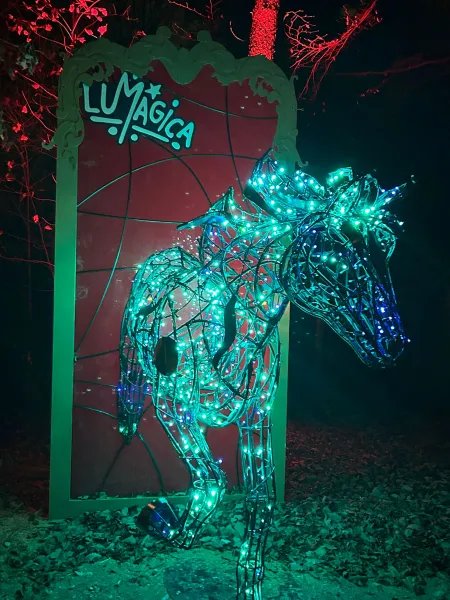 Lumagica – Lichterpark 2025 im Wildpark Schwarze Berge