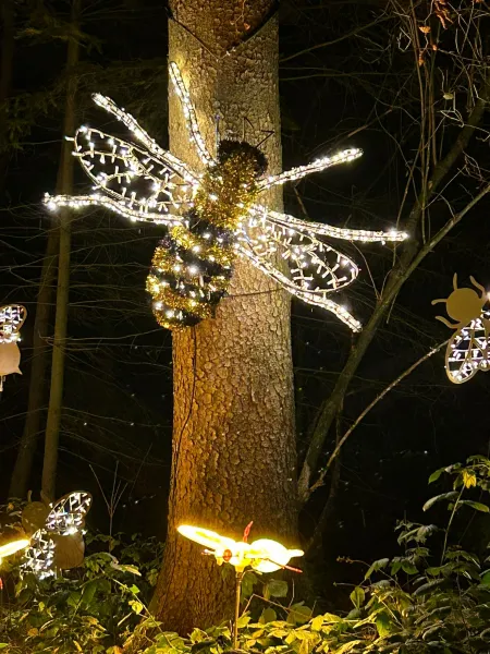 Lumagica – Lichterpark 2025 im Wildpark Schwarze Berge