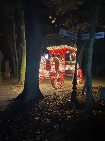 Lumagica – Lichterpark 2025 im Wildpark Schwarze Berge