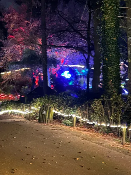 Lumagica – Lichterpark 2025 im Wildpark Schwarze Berge