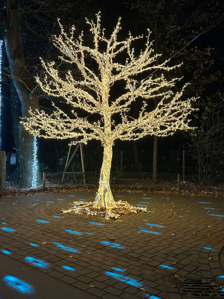 Lumagica – Lichterpark 2025 im Wildpark Schwarze Berge