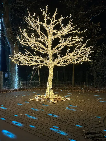 Lumagica – Lichterpark 2025 im Wildpark Schwarze Berge