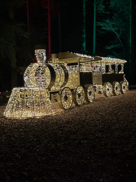 Lumagica – Lichterpark 2025 im Wildpark Schwarze Berge