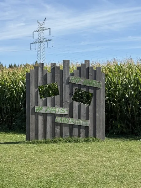 Maislabyrinth auf dem Hof Bartels – Abenteuer auf 32.000 m²