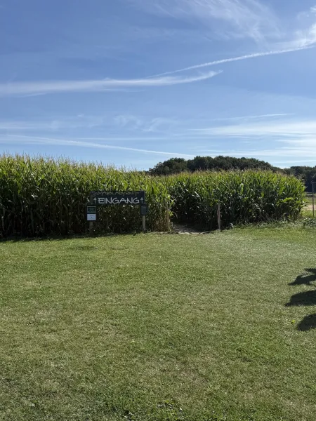 Maislabyrinth auf dem Hof Bartels – Abenteuer auf 32.000 m²
