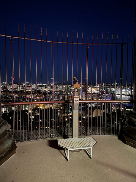 Nachtmichel Hamburg – Der Traumblick über die Lichter der Hansestadt