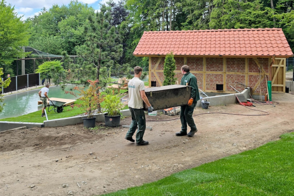 Umzugsservice: Während die Otteranlage den letzten Fein- schliff bekommt, bringen Wildpark-Tierpfleger die Otter in Transportkisten in ihr neues Zuhause.
