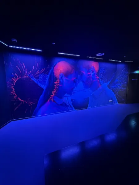 Paradox Museum Hamburg