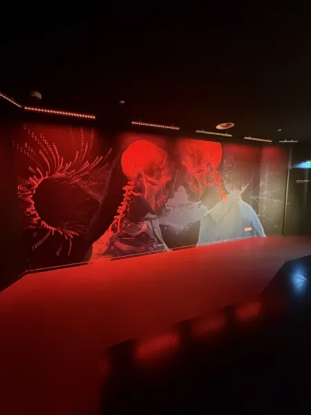 Paradox Museum Hamburg