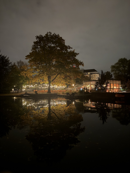 Planten un Lumen – Das Lichtkunst-Festival im Herzen Hamburgs