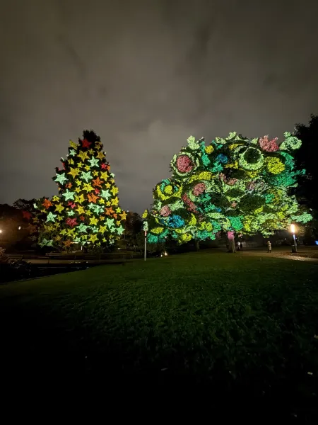 Planten un Lumen – Das Lichtkunst-Festival im Herzen Hamburgs