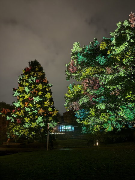 Planten un Lumen – Das Lichtkunst-Festival im Herzen Hamburgs