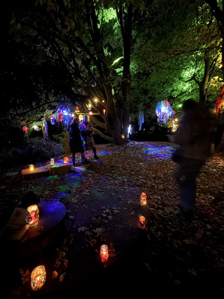 Planten un Lumen – Das Lichtkunst-Festival im Herzen Hamburgs