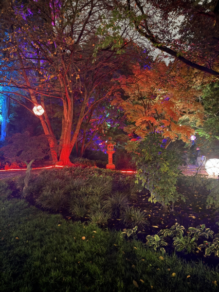 Planten un Lumen – Das Lichtkunst-Festival im Herzen Hamburgs