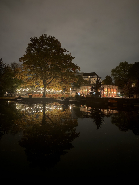 Planten un Lumen – Das Lichtkunst-Festival im Herzen Hamburgs
