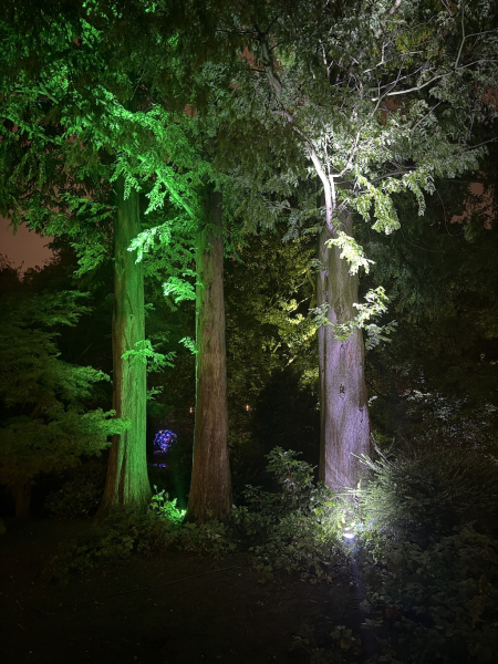 Planten un Lumen – Das Lichtkunst-Festival im Herzen Hamburgs
