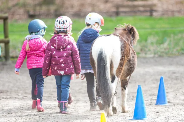 Ponyhof Meyers Park