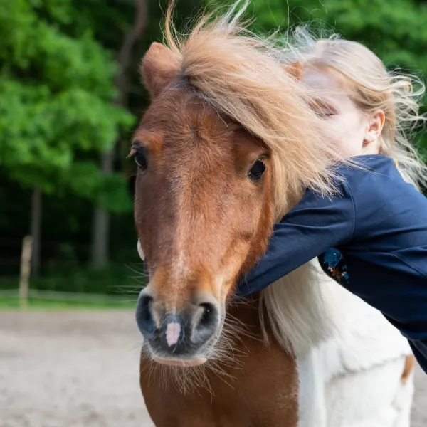 Ponyhof Meyers Park