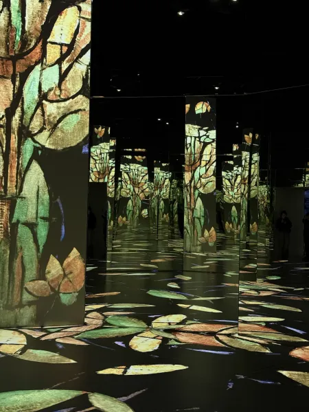 Port des Lumières Hamburg