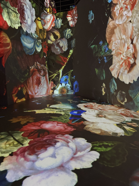 Port des Lumières Hamburg