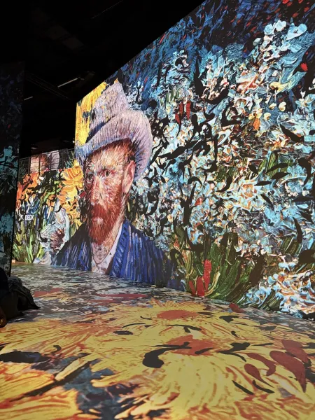 Port des Lumières Hamburg