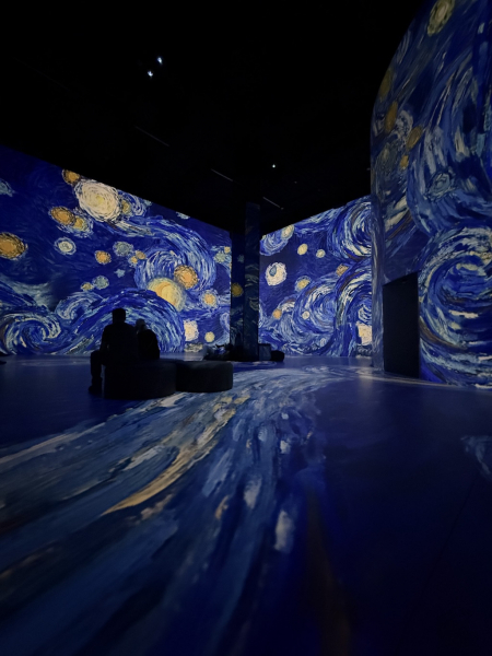 Port des Lumières Hamburg