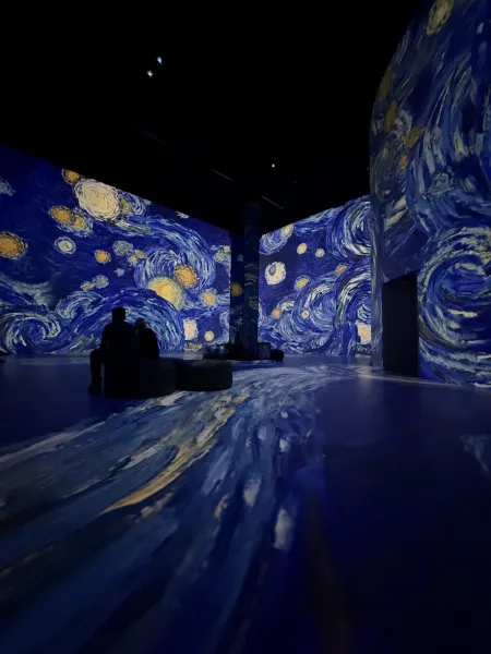 Port des Lumières Hamburg