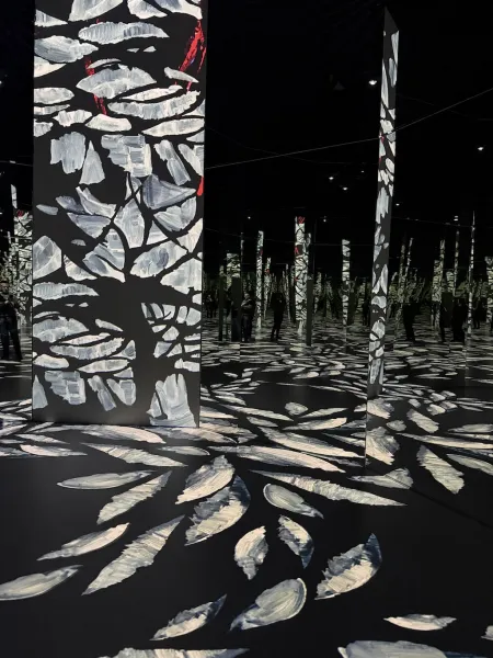 Port des Lumières Hamburg