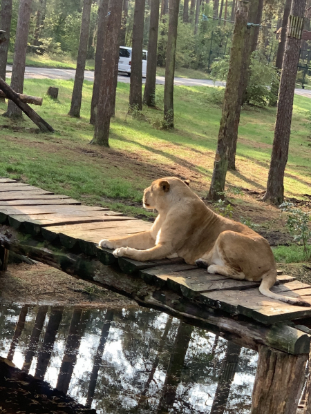 Serengeti Park Hodenhagen
