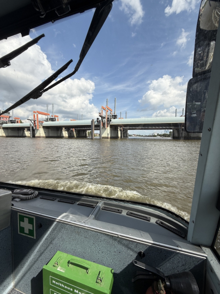 Stadtkreuzfahrt mit dem HafenCity RiverBus Hamburg