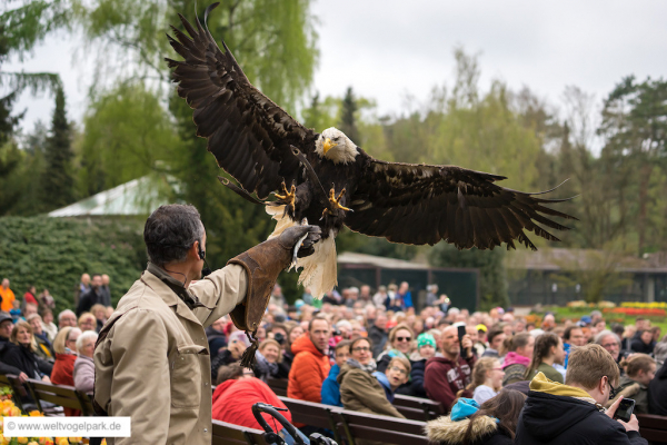 Weltvogelpark Walsrode