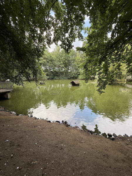 Wildpark Lüneburger Heide