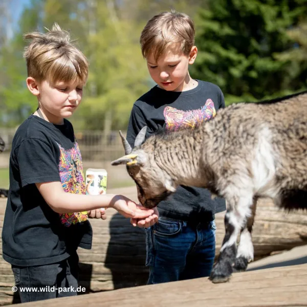 Wildpark Lüneburger Heide