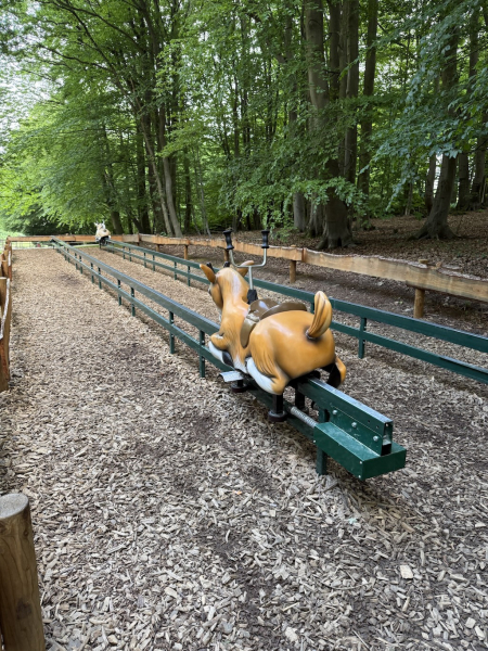 Wildpark Lüneburger Heide
