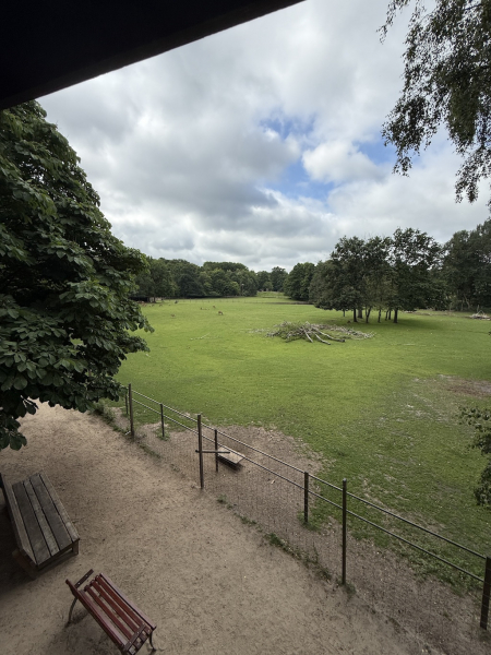Wildpark Lüneburger Heide