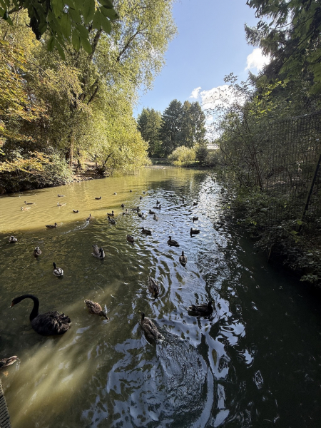 Wildpark Schwarze Berge