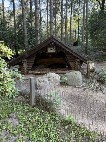 Wildpark Schwarze Berge