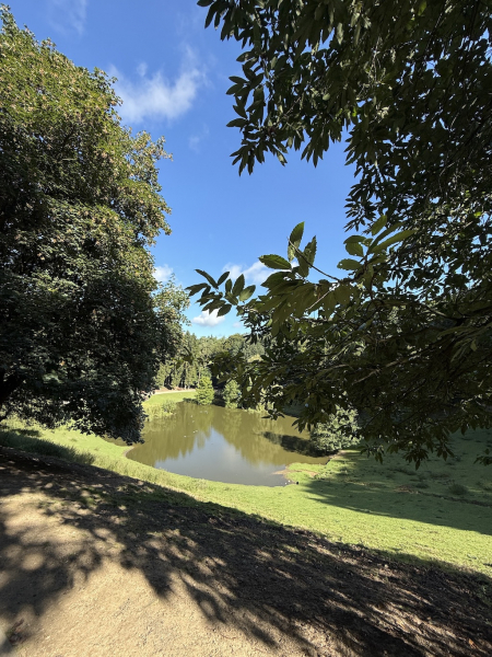 Wildpark Schwarze Berge