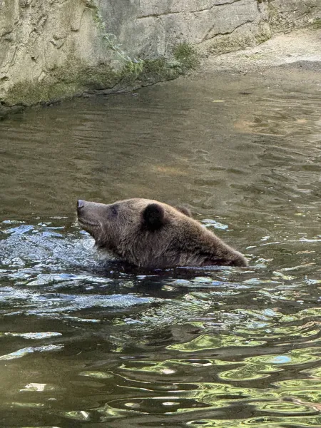 Wildpark Schwarze Berge